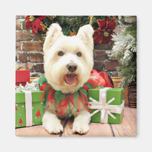 Íman Natal - Westie - afortunado
