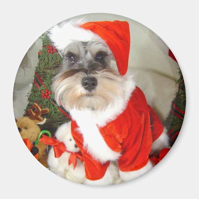 Íman Natal X'Mas Miniatura Schnauzer (Frente)