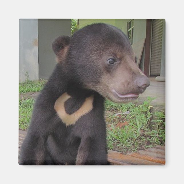 Íman NATALIE Magnet (Frente)