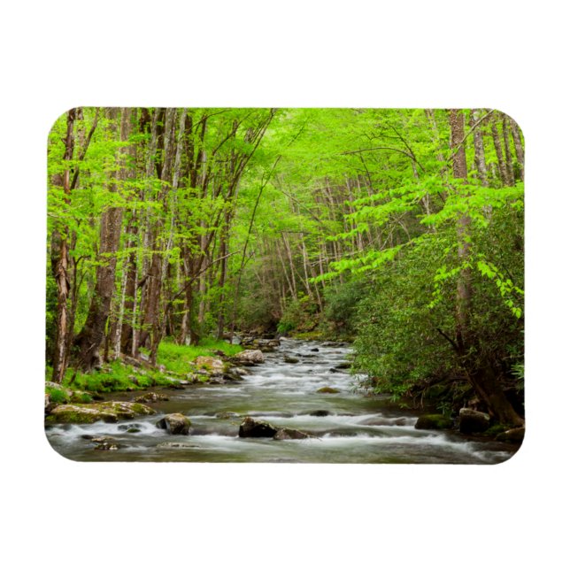 Íman National Park Carolina do Norte, Montanhas do Enfu (Horizontal)