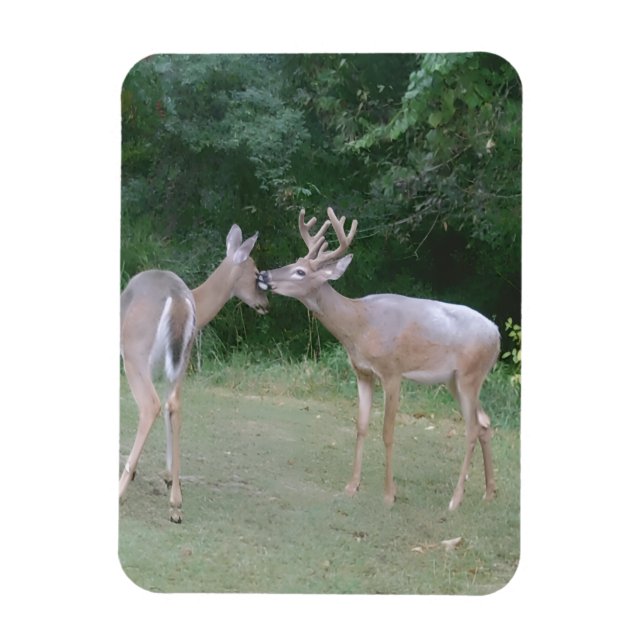 Íman Nature Lover (Vertical)