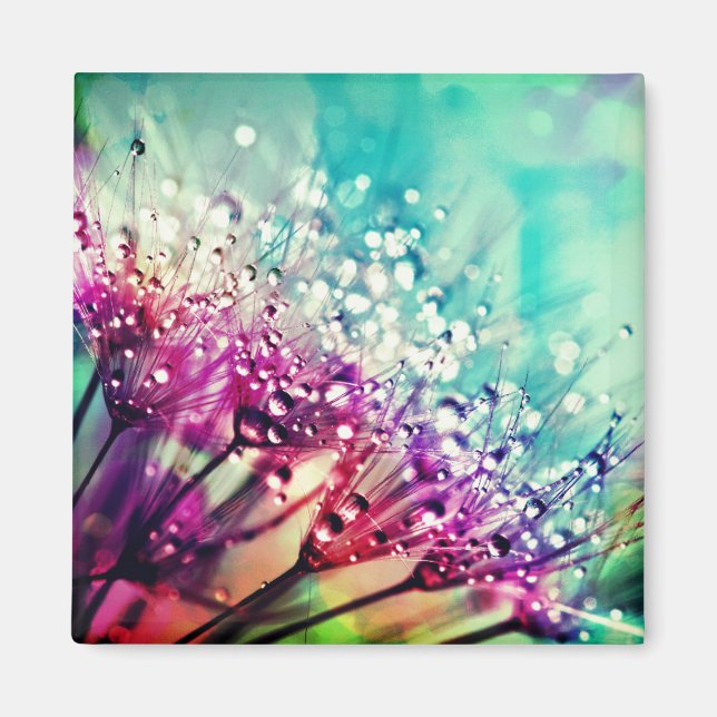 Íman Natureza (Frente)