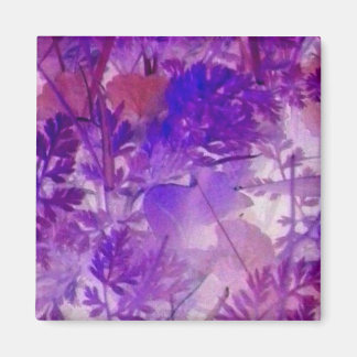 Íman Natureza do rico