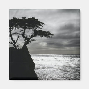 Íman Natureza Fotografia preto e branco
