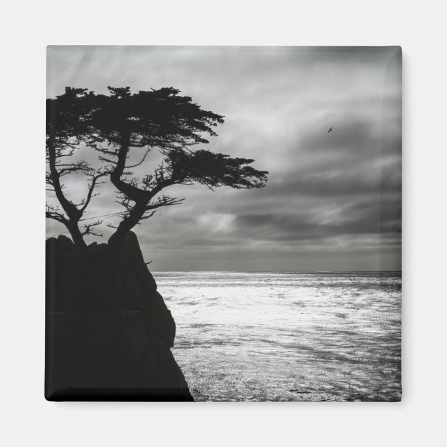 Íman Natureza Fotografia preto e branco (Frente)