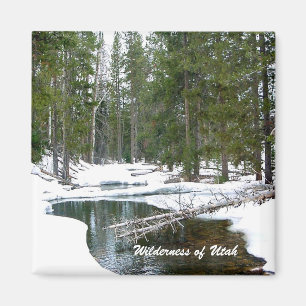 Íman Natureza selvagem de Utah