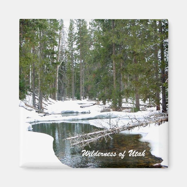 Íman Natureza selvagem de Utah (Frente)