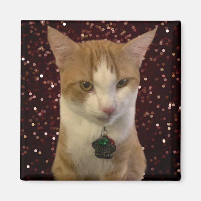 Íman Naughty Cat (Frente)