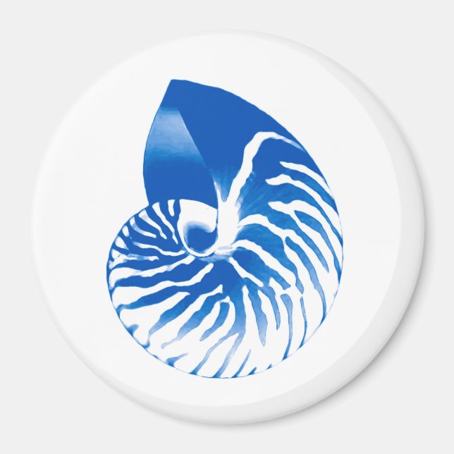Íman Nautilus shell - azul de cobalto e branco (Frente)