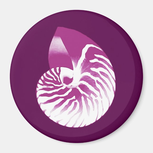 Íman Nautilus shell - berinjela roxa e branca (Frente)