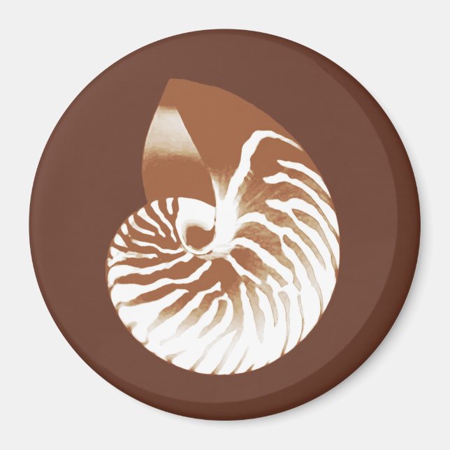 Íman Nautilus shell - cacau castanho e branco (Frente)