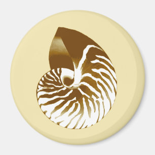 Íman Nautilus shell - castanho, branco e bege