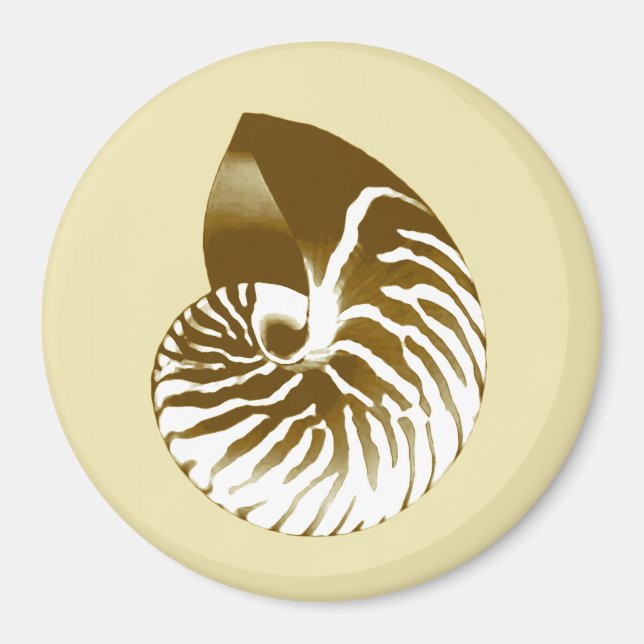Íman Nautilus shell - castanho, branco e bege (Frente)