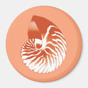 Íman Nautilus shell - terracotta e branco