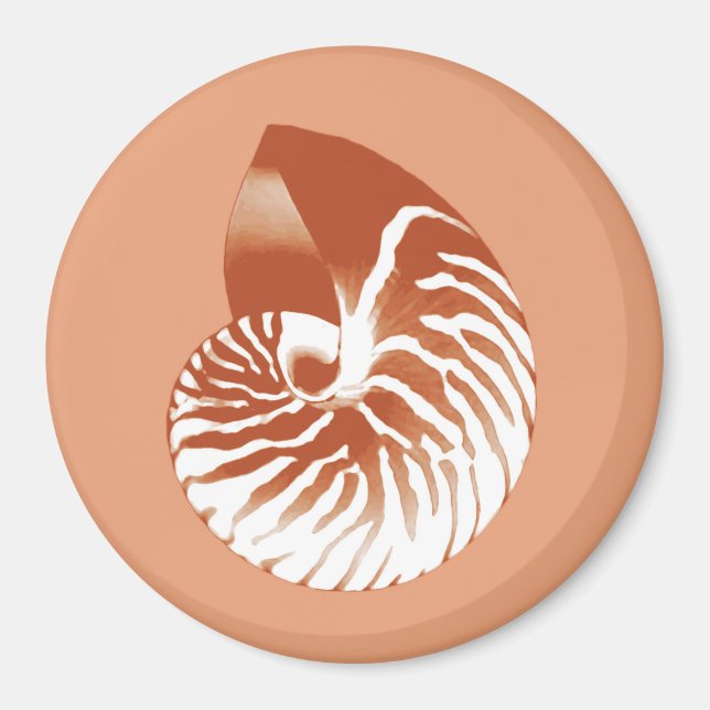 Íman Nautilus shell - terracotta e branco (Frente)