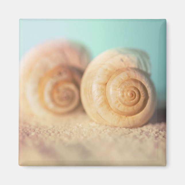 Íman Nautilus Shells On Beach (Frente)