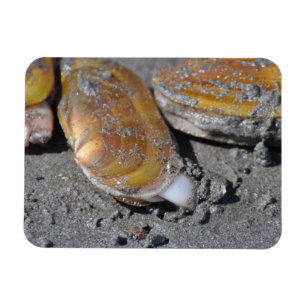 Íman Navalhas Diggging