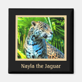 Íman Nayla, o Magneta Jaguar