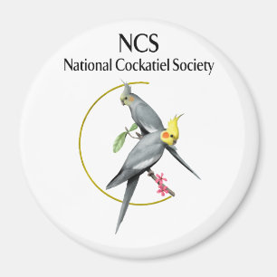 Íman NCS Grande Magneta redonda de 3 polegadas