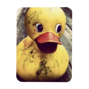 Íman Necessidades Ducky de borracha amarelas um banho!