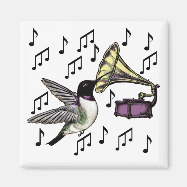 Íman Néctar Auditório (Frente)