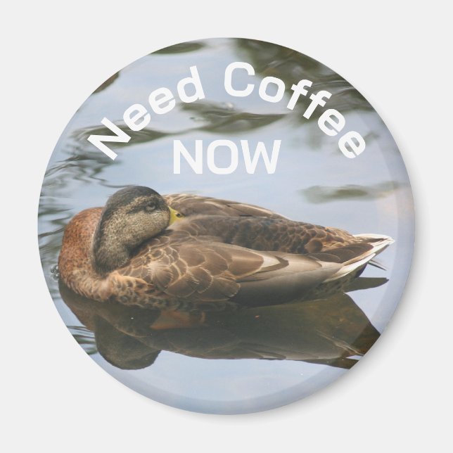 Íman Need Coffee Sleepy Duck Funny  (Frente)