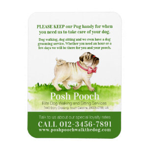 Íman Negócios de serviços de passeio de cachorros fof