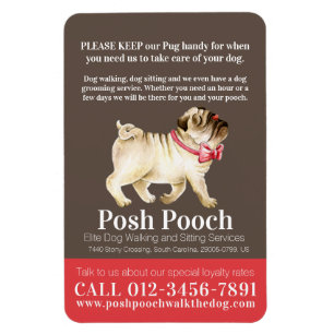 Íman Negócios de serviços de passeio de cachorros fof
