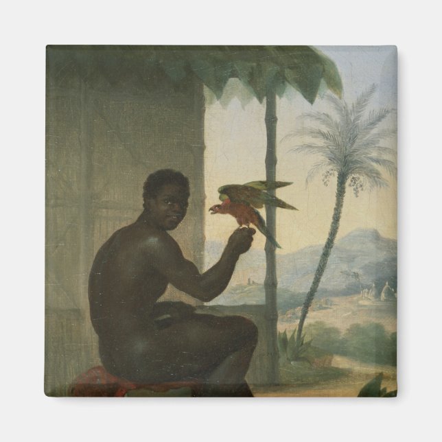 Íman Negro brasileiro com pássaro tropical (Frente)