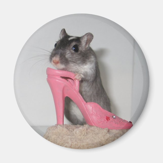 Íman Nellie, o Dia de as mães Magnet Gerbil (Frente)
