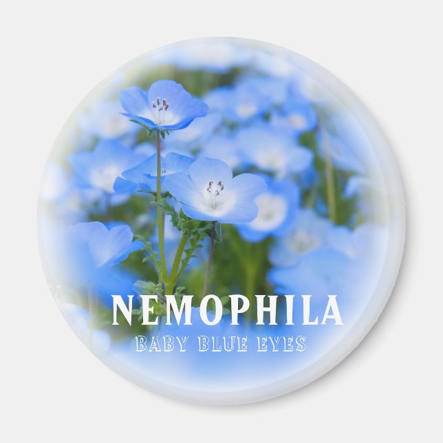 Íman NEMOPHILA（Baby Blue Eyes） (Frente)