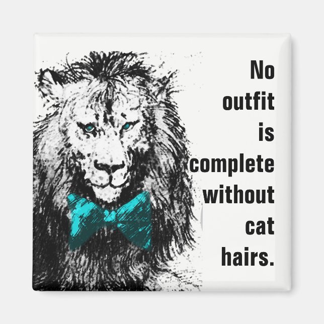 Íman Nenhum equipamento é concluído sem cabelos de gato (Frente)