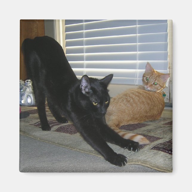 Íman Neo e Isabelle Magnet (Frente)