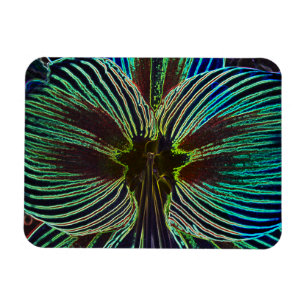 Íman Neon Amaryllis