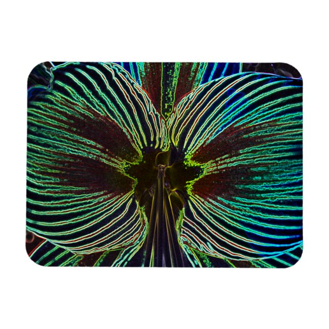 Íman Neon Amaryllis (Horizontal)