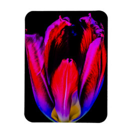 Íman Neon Glow Tulip