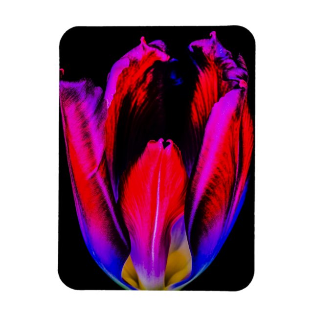 Íman Neon Glow Tulip (Vertical)