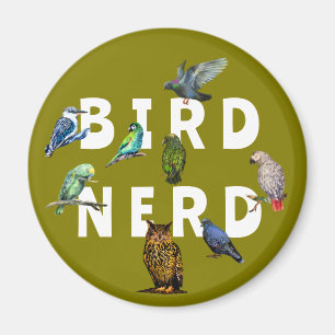 Íman Nerd, papagaios, coruja, pombos, kookaburra