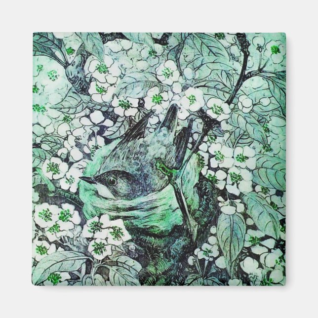 Íman NEST DO PÁSSARO, verde branco (Frente)