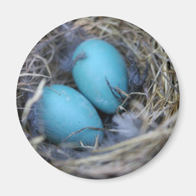 Íman Nest Magnet (Frente)