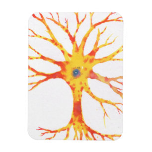 Íman Neuron