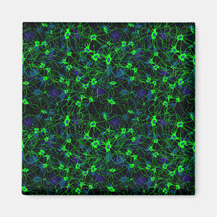 Íman Neuron City Magnet