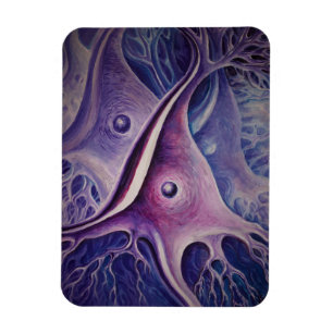 Íman Neurônio piramidal