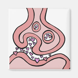 Íman Neurotransmissores cardíacos