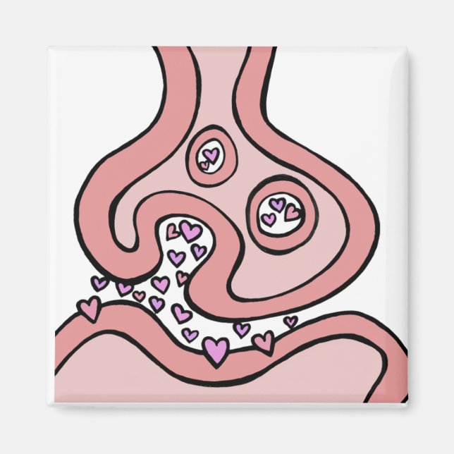 Íman Neurotransmissores cardíacos (Frente)