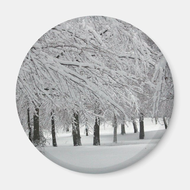 Íman neve (Frente)