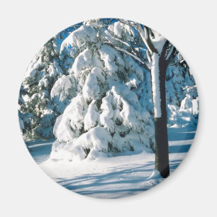 Íman Neve coberta por Evergreens