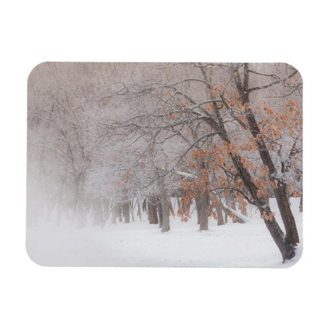 Íman Neve de inverno | Lago Kussharo (Horizontal)