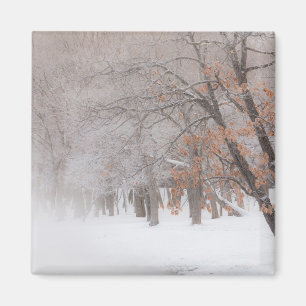 Íman Neve de inverno   Lago Kussharo