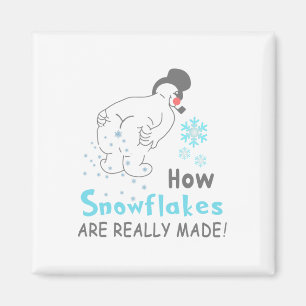 Íman Neve Divertida Como os Flocos de Neve São Realment